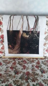 2018-11-07 12-30-20 (1) - с эффектами.JPG