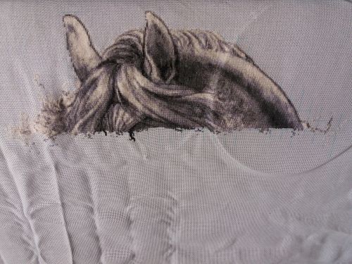 Мрской конек 4 — копия.jpg