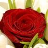 HaveANiceDay